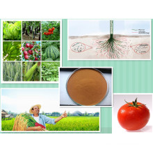 Organic NPK Compound Fertilizer Agricultural 40-50% Amino Acid Powder